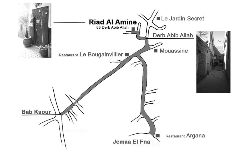 Riad Alamine Marrákes Kültér fotó